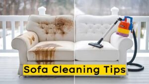 Sofa Cleaning Tips