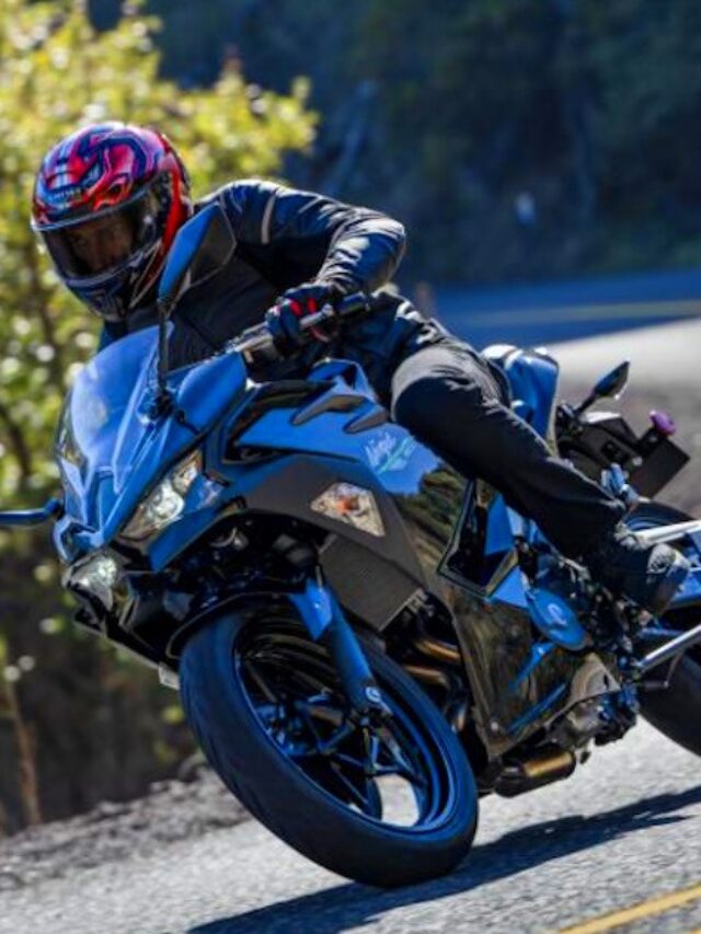 Kawasaki Ninja 500: 45PS