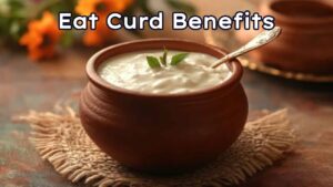 Curd Benefits