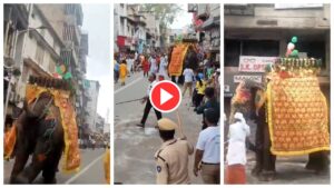 Jagannath Rath Yatra 2025 – Elephant Goes Wild During Yatra, Watch Viral Video