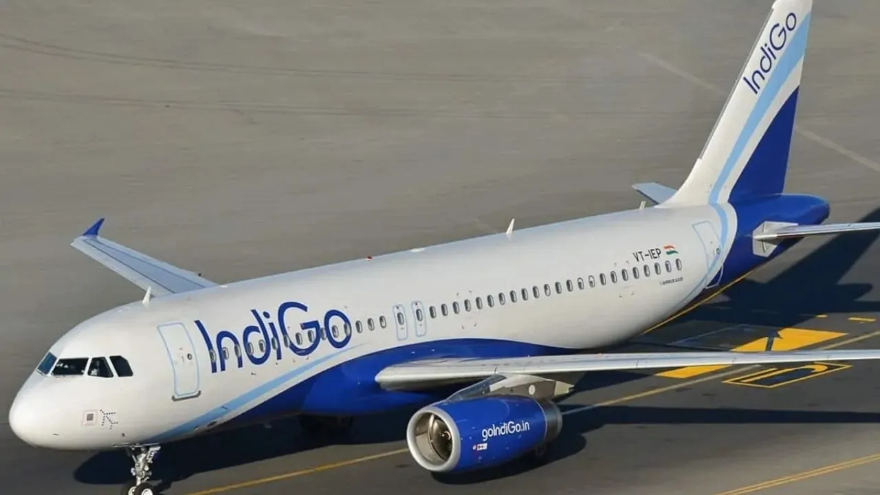 Indigo
