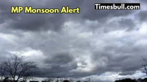 MP Weather Update: Alert of rain with thunderstorm in 50 districts of Madhya Pradesh
