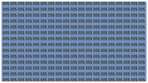 Optical Illusion – Can You Find the Hidden ‘888’ Among ’88S’s in 15 Seconds?