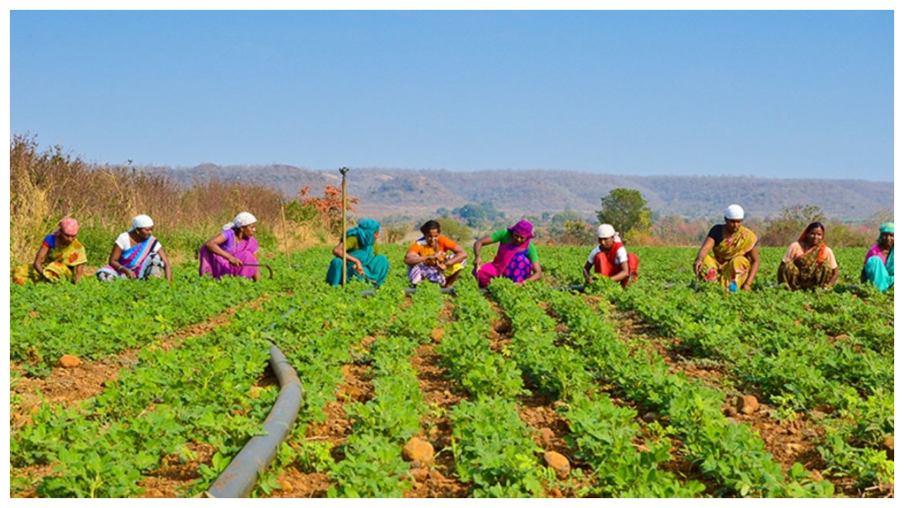 PM Kisan Yojana Latest Update...