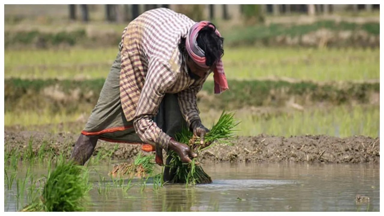 Pm Kisan