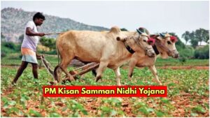 pm kisan sammani nidhi yojana