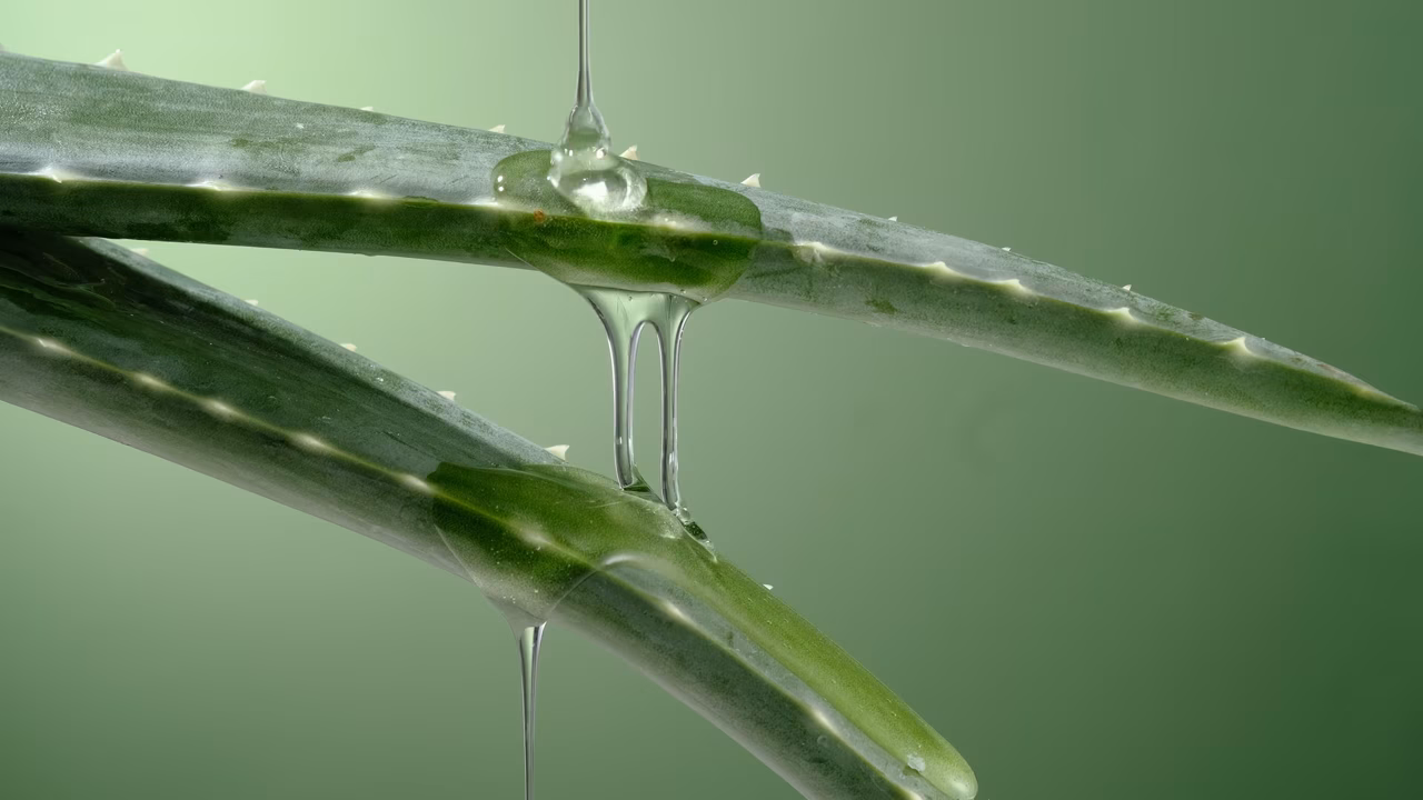 Aloe Vera for Skin in...