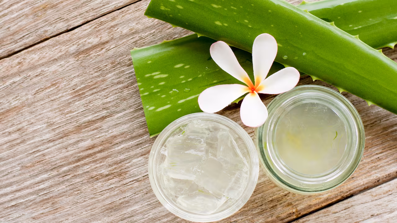 Aloe Vera for Skin in...