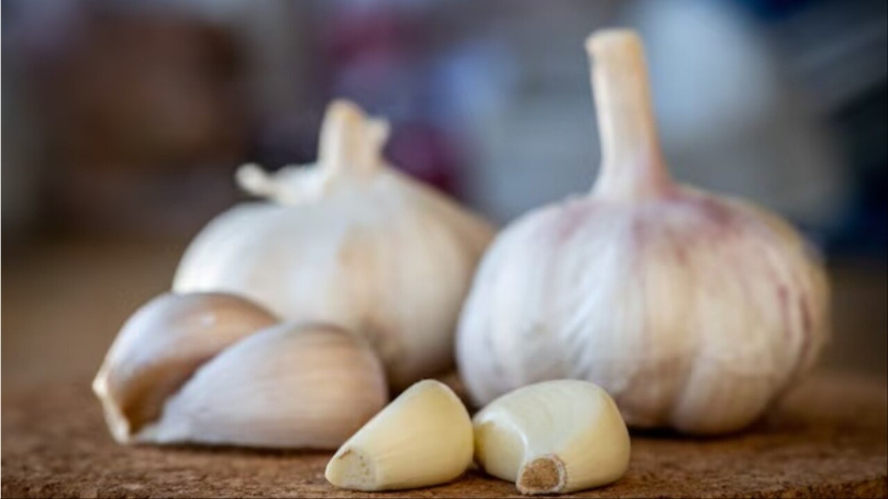 Benifits Of Garlic लहसुन के...