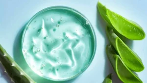 एलोवेरा से बालों को मजबूत और चमकदार बनाएं – जानें फायदे और उपयोग का सही तरीका