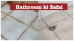 Bathroom ki Safai