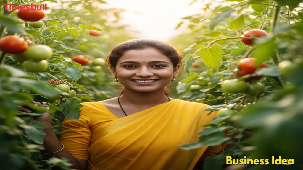 Smart Tomato Farming: A Golden Business Opportunity for Rural Youth 1 Business Idea (17)