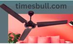 Ceiling Fan