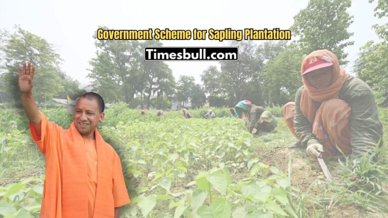 Government Scheme for Sapling Plantation