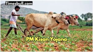 PM Kisan Yojana: These farmers will not get the 20th installment! Know details