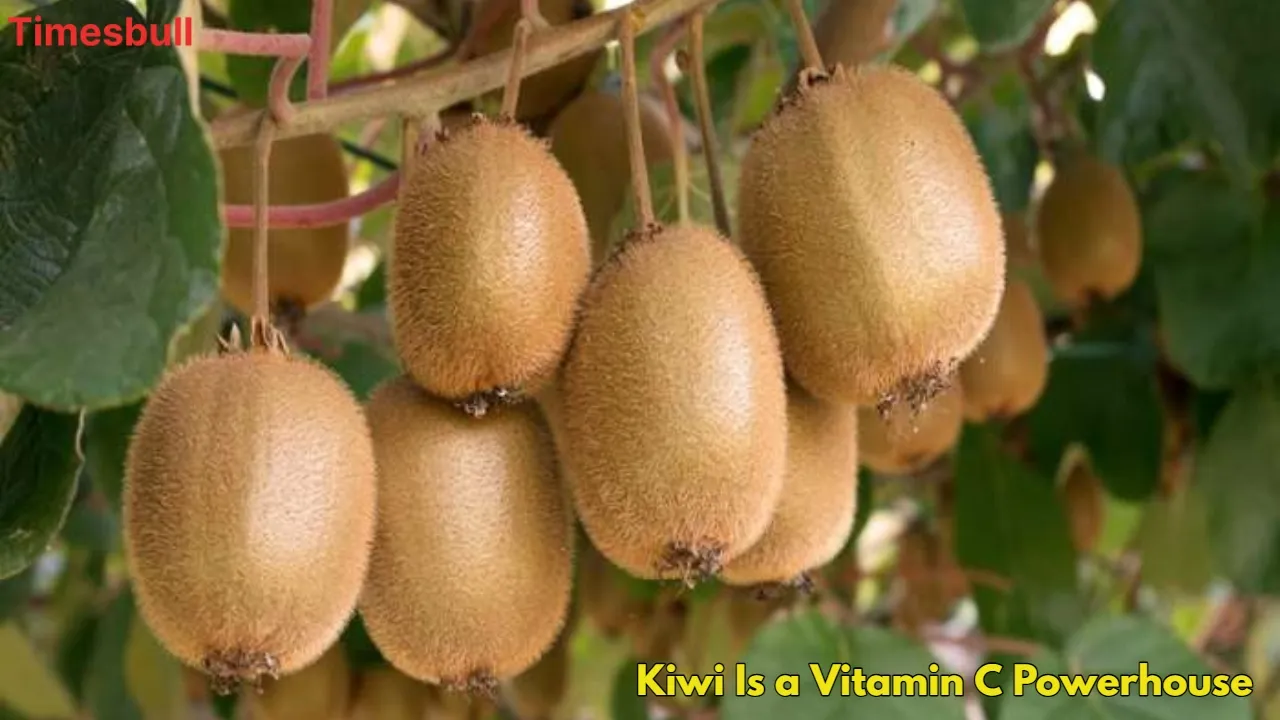 Kiwi Is A Vitamin C Powerhouse (1)