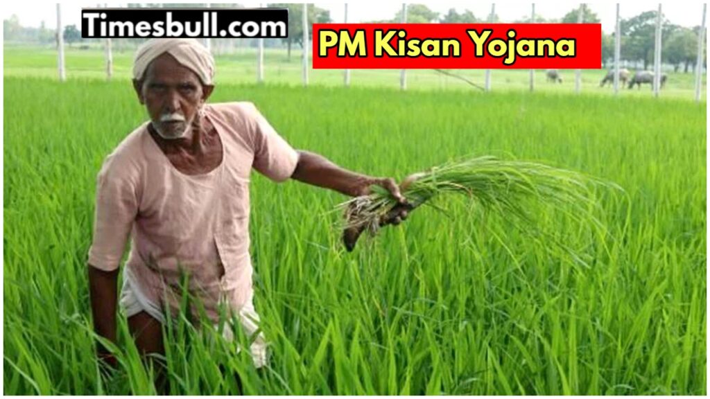 PM Kisan Yojana: Farmers will get an installment of Rs 2000 on this day! Check here