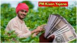 Pm kisan yojana