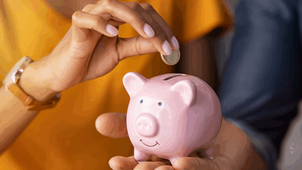 Small Saving Schemes