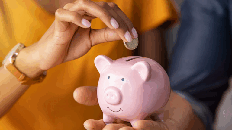 Small Saving Schemes