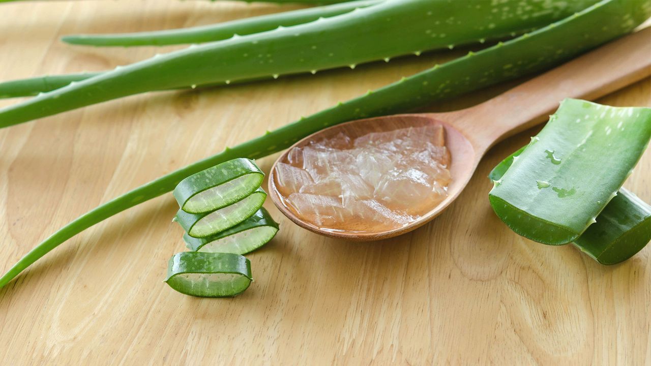 Aloe Vera for Skin in...