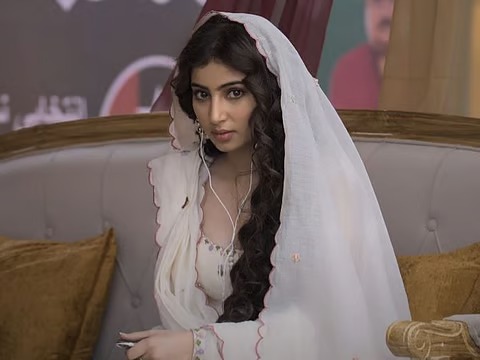 Who Is Sara Arjun? Actress...