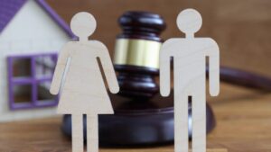 Daughters Equal Property Rights Under Hindu Succession Act, Inside Full Details