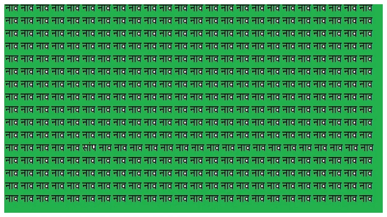 Optical Illusion