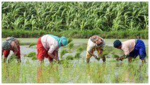 PM Kisan Yojana – Will The 20th Installment Be Released on Next week? Check Latest Updates