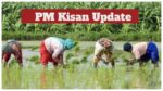 pm kisan