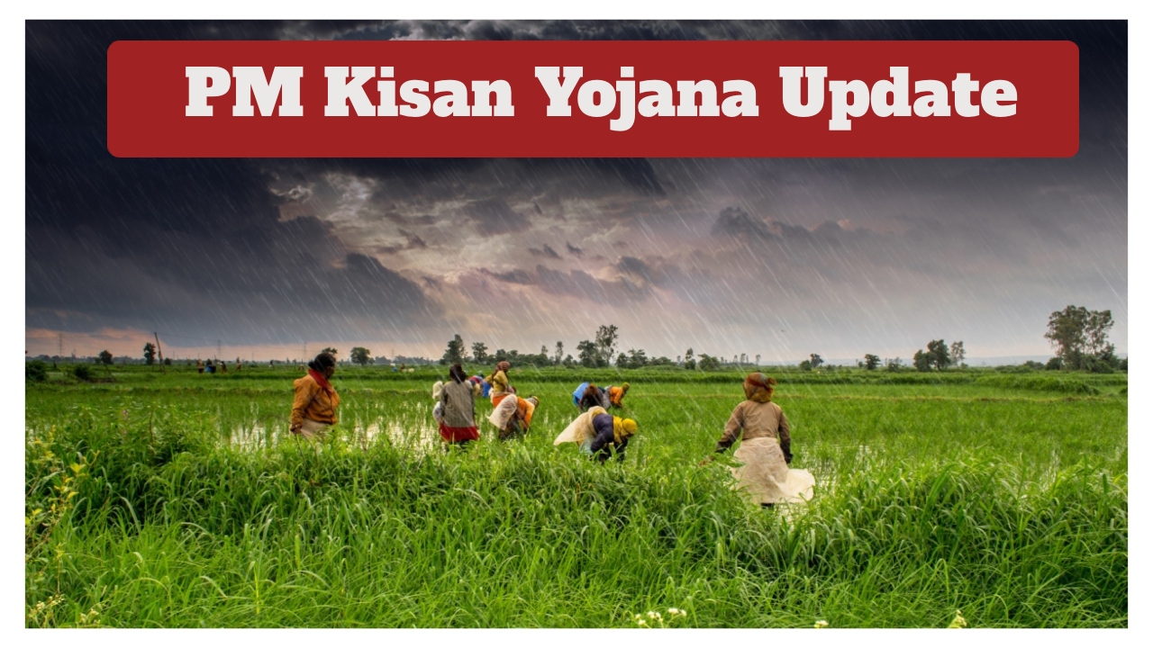 PM Kisan Alert – When...