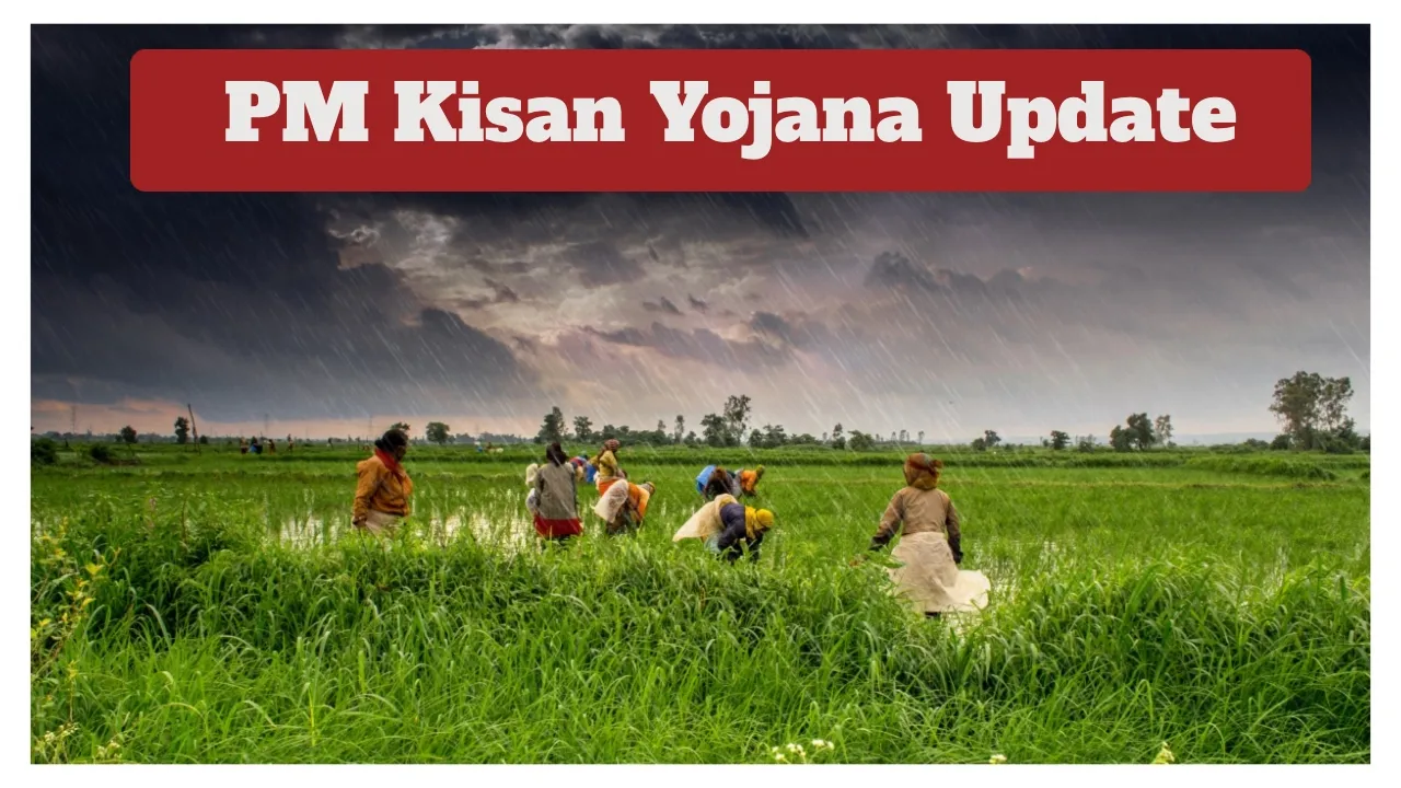 Pm Kisan