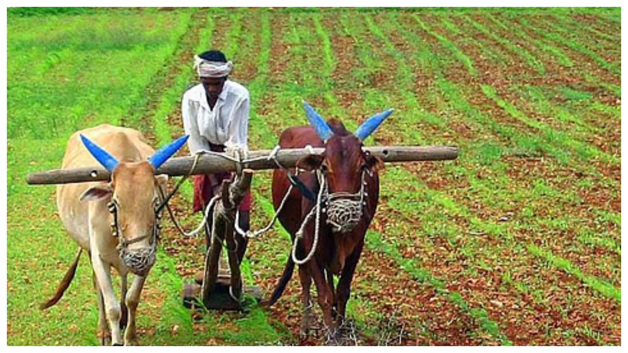 PM Kisan Update – Will...