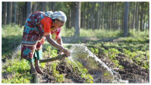 PM Kisan Update – 20th Installment Likely Released After July 10! How To Check Beneficiary Status?