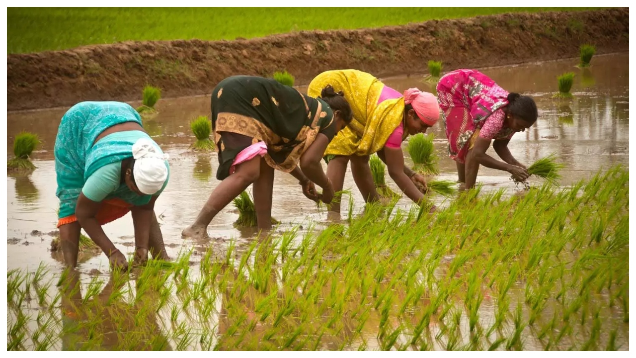 PM Kisan Yojana Update –...