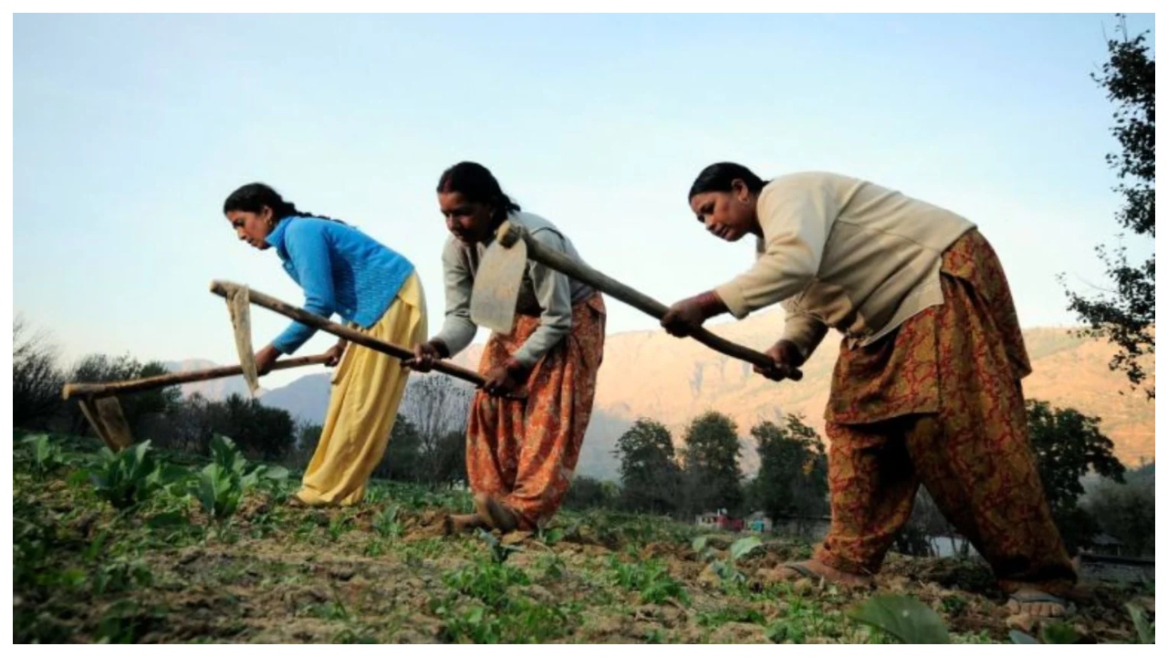 PM Kisan Update – Will...