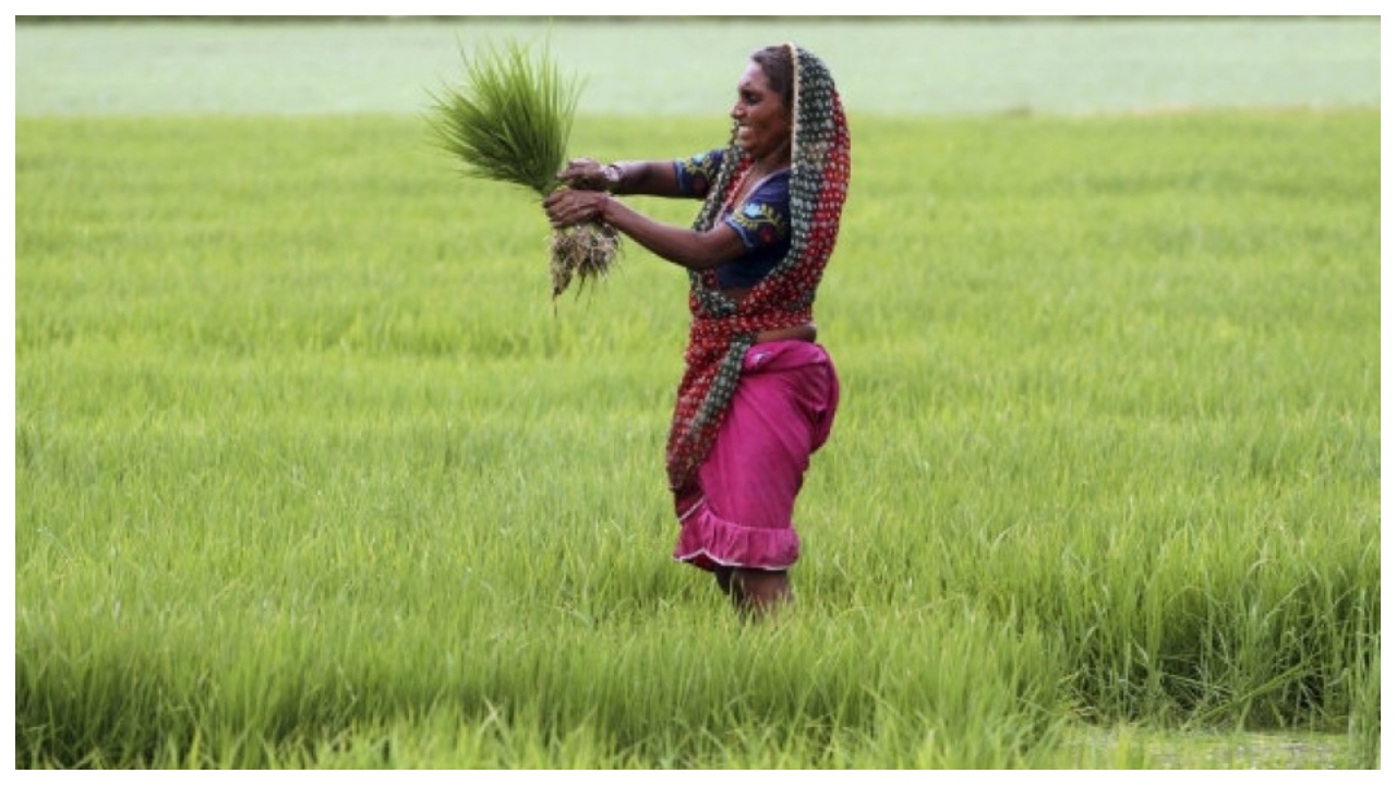 PM Kisan Yojana – Will...