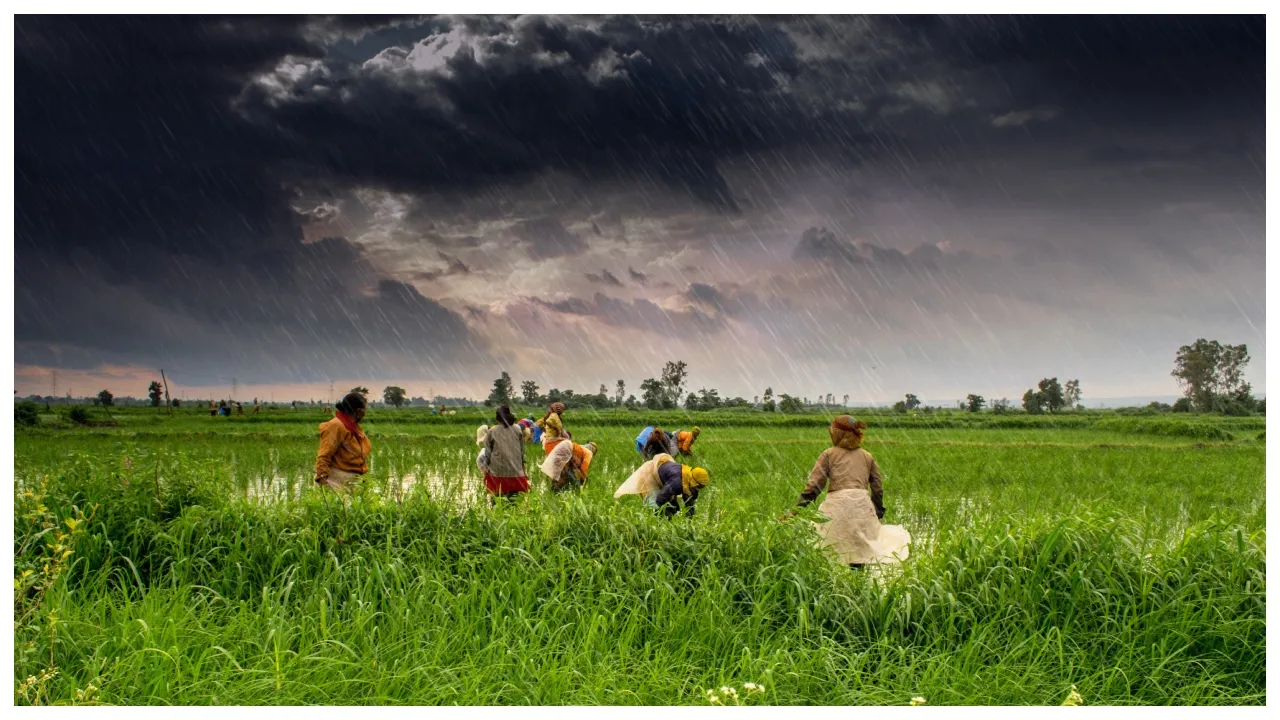 Pm Kisan