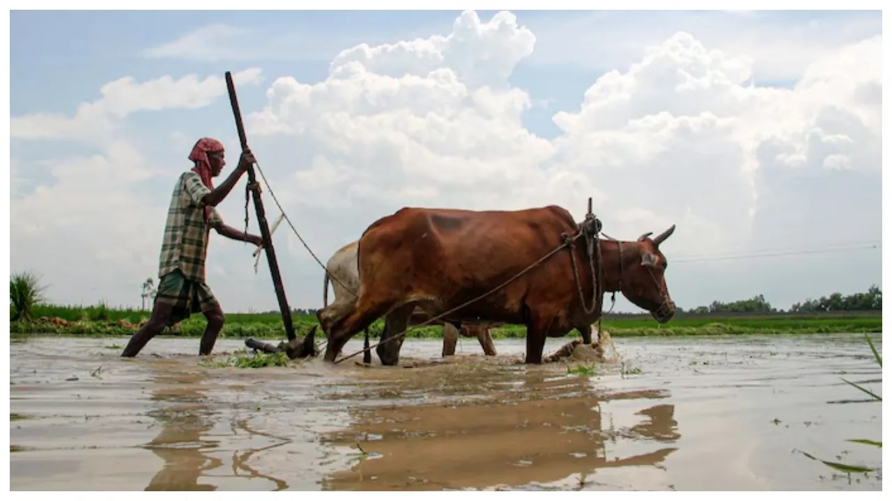 Pm Kisan