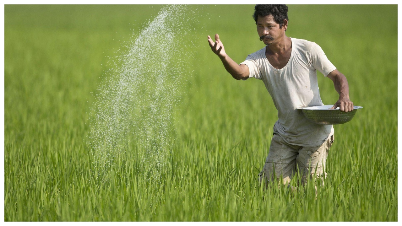 PM Kisan Update – Will...