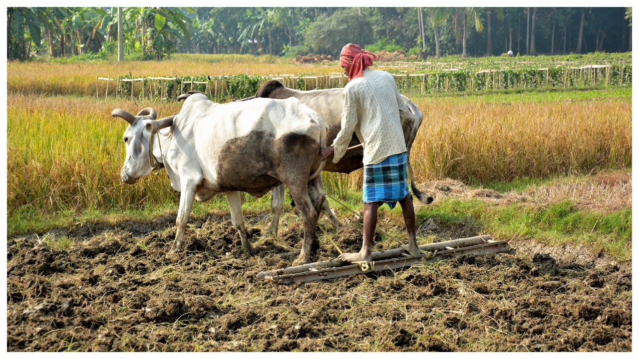 PM Kisan Yojana Update –...