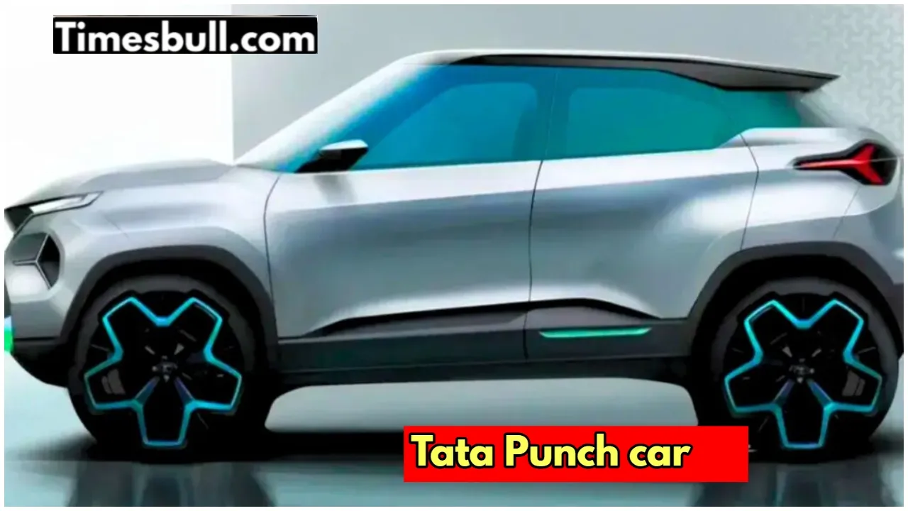 tata punch car