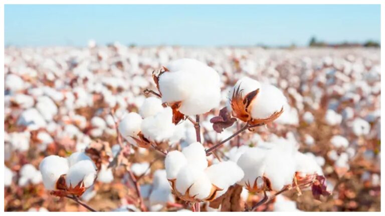 Unlucky Plants – Avoid These 5 Vastu-Negative Plants for Prosperity