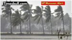 up monsoon alert