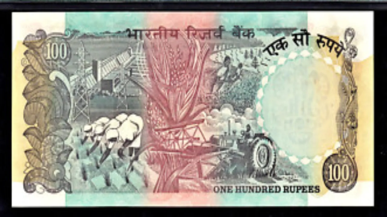 100 Rupees Note