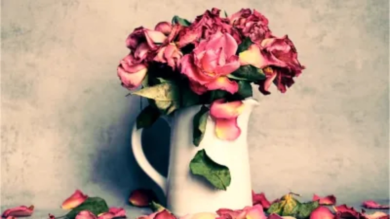 7 Deadly Vastu Mistakes Remove From Home