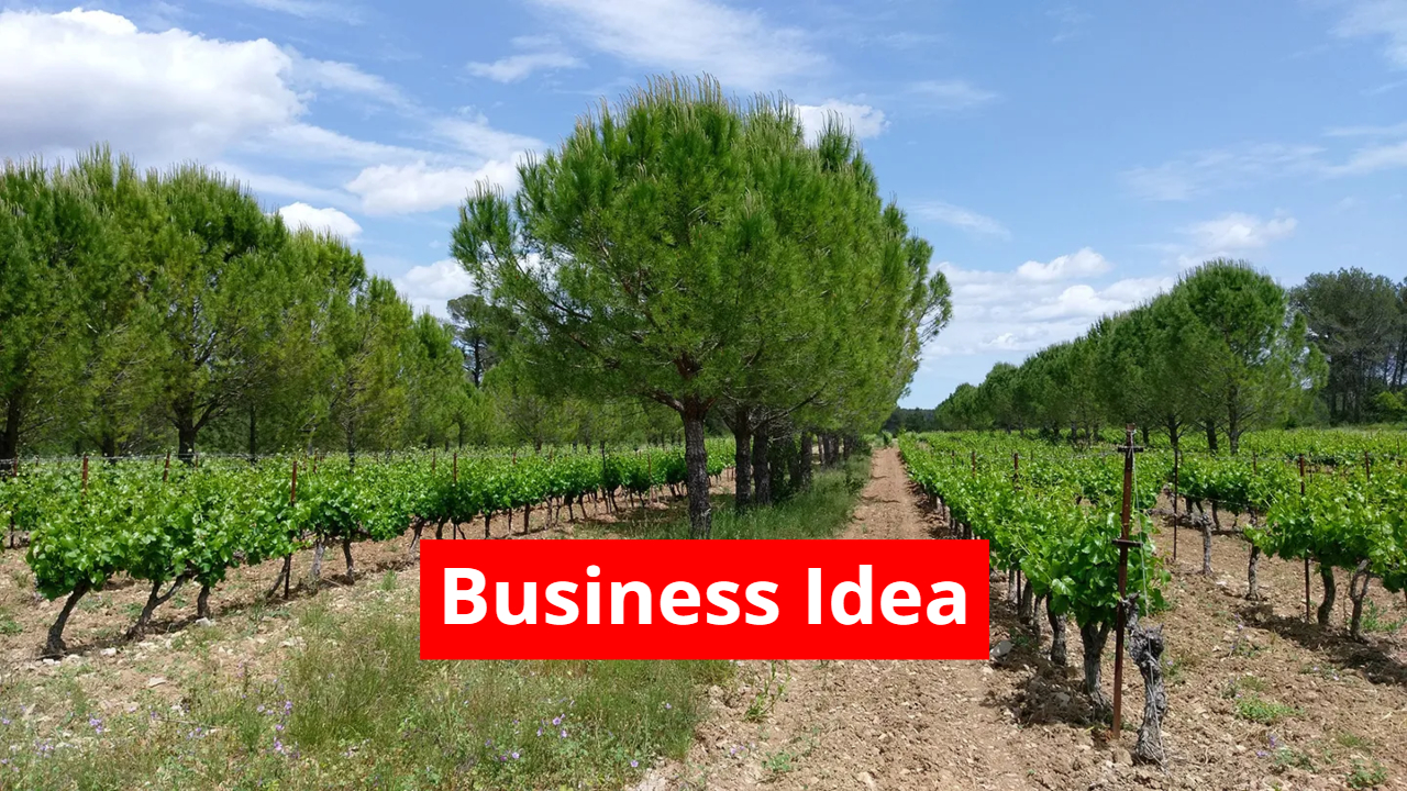 Business Idea: Plant These Trees...