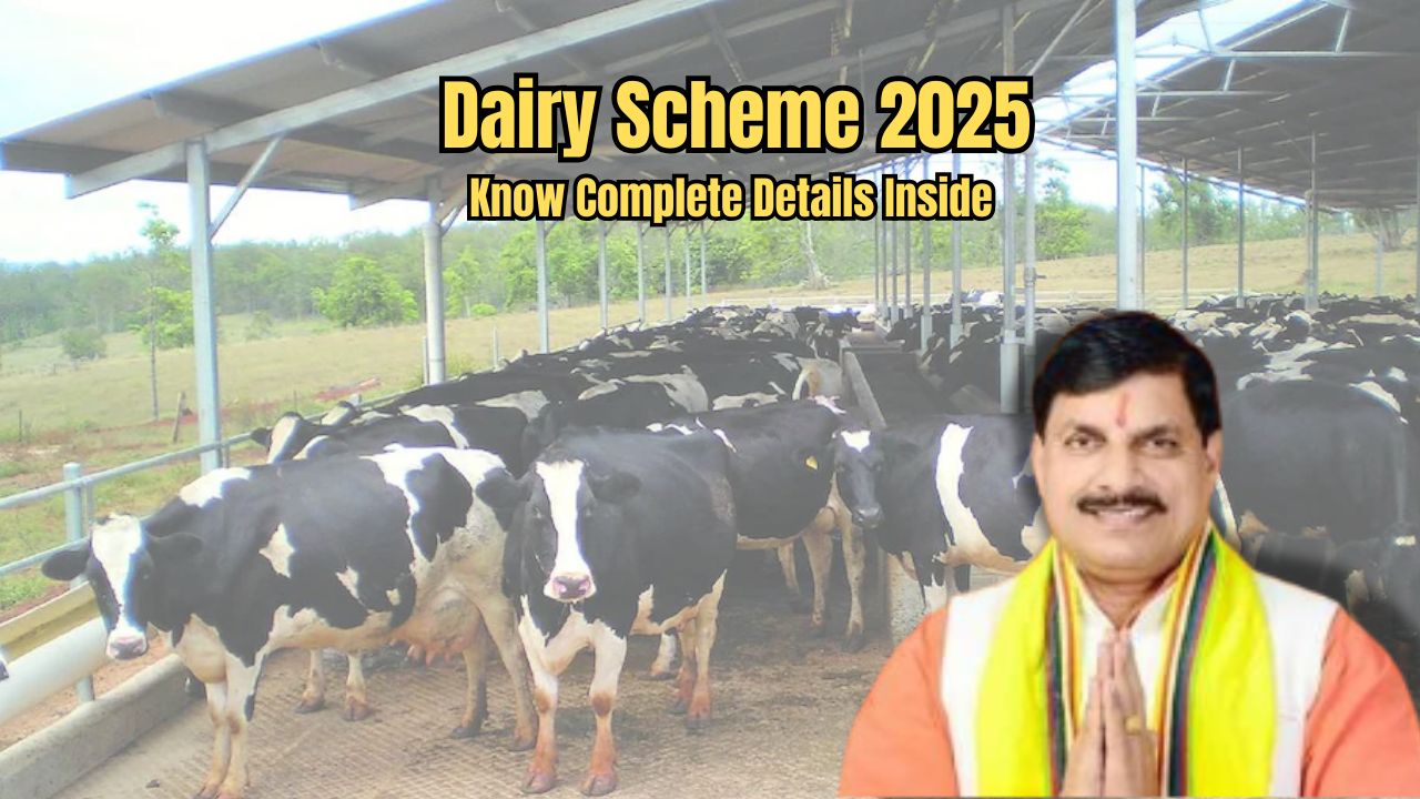 Dairy Scheme 2025: Get Up...