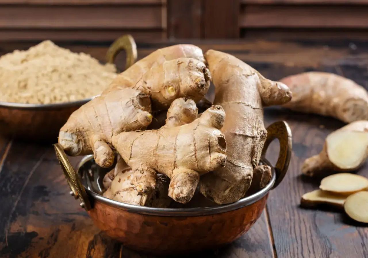 Ginger 1