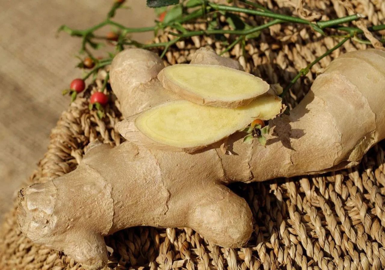 Ginger2